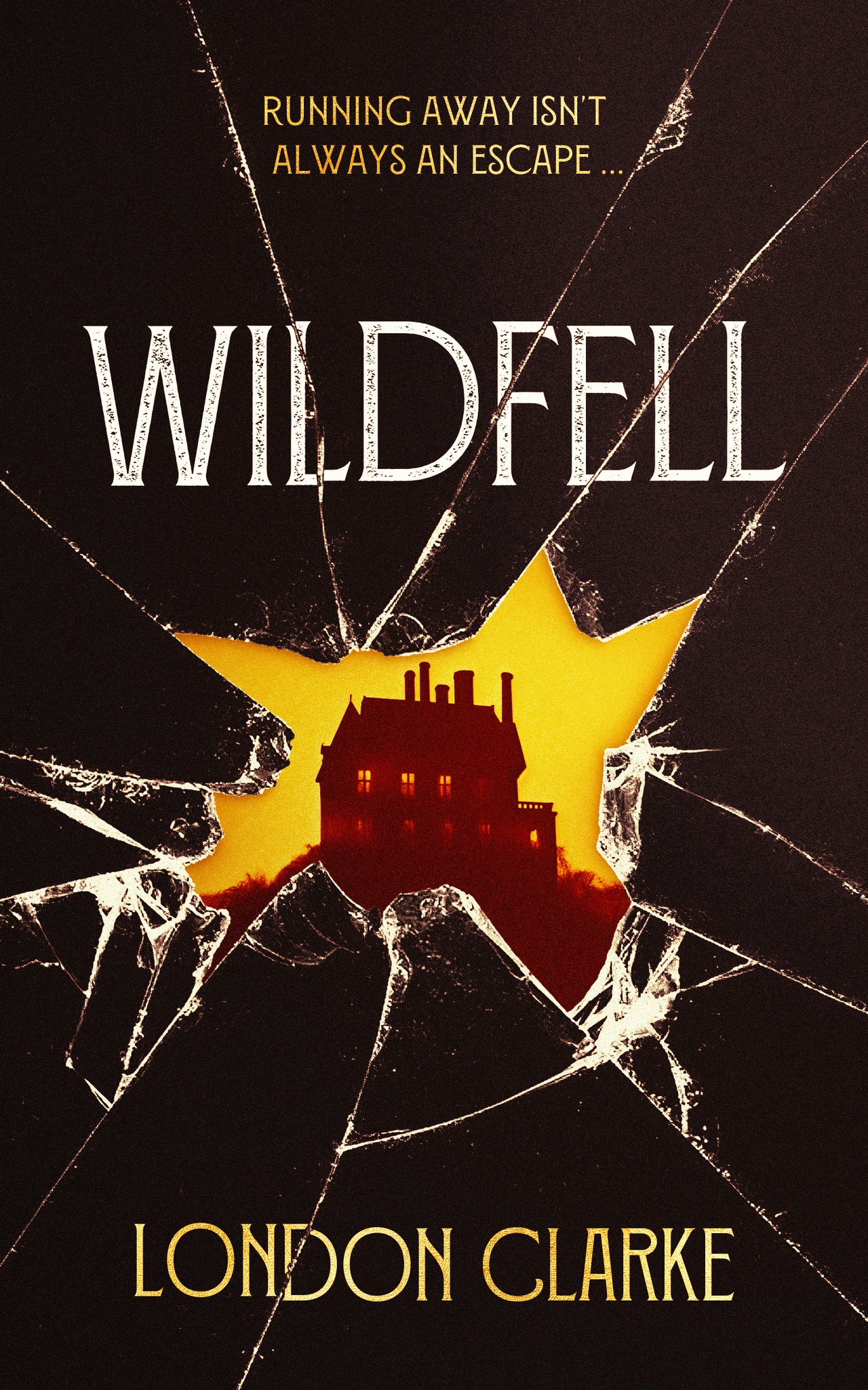 Cover image for Wildfell ISBN 9781036711061